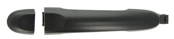 Türaußengriff vorne rechts BLIC 6010-16-059402P