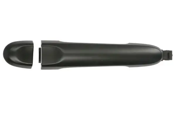 Türaußengriff vorne rechts BLIC 6010-16-059402P