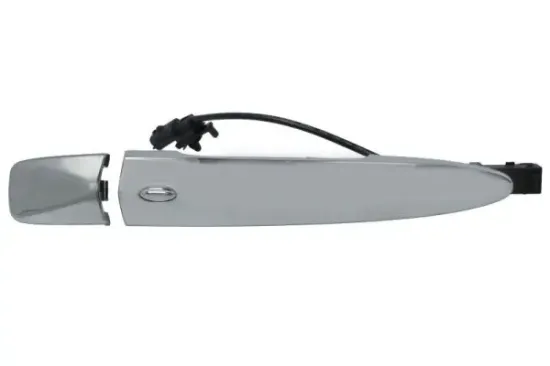 Türaußengriff vorne links BLIC 6010-16-969401C Bild Türaußengriff vorne links BLIC 6010-16-969401C