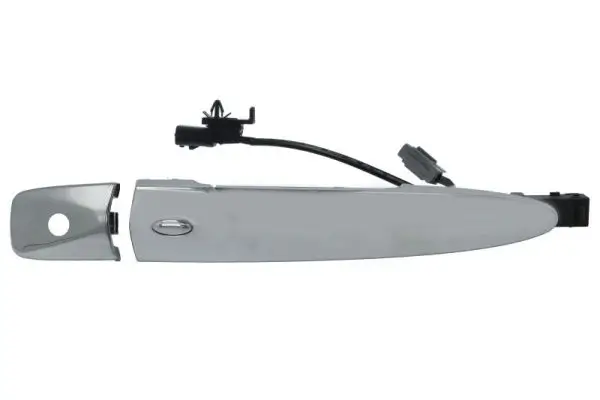 Türaußengriff vorne rechts BLIC 6010-16-969402C