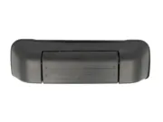 Kofferraumdeckelgriff hinten links BLIC 6010-18-014417PP