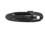 Türaußengriff vorne links BLIC 6010-19-035401P