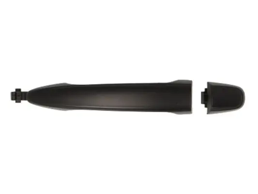 Türaußengriff vorne rechts BLIC 6010-19-051402P