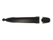 Türaußengriff vorne rechts BLIC 6010-19-051402P