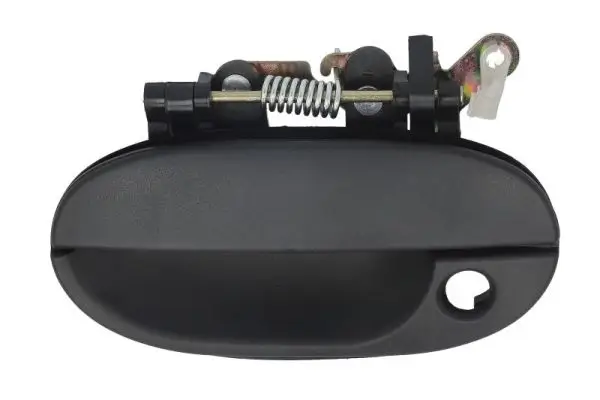 Türaußengriff außen vorne links BLIC 6010-20-001401PP