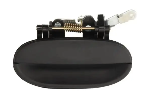 Türaußengriff hinten rechts BLIC 6010-20-001404P