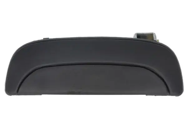 Türaußengriff außen vorne links BLIC 6010-20-008401P