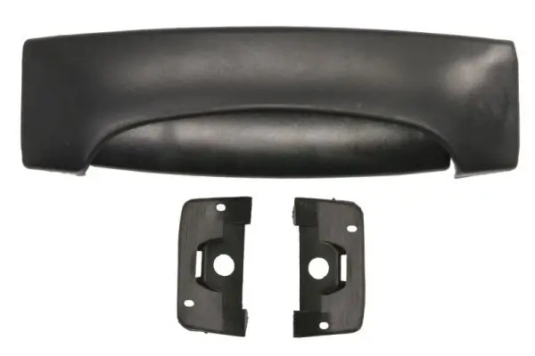 Türaußengriff außen vorne links BLIC 6010-20-008410LP