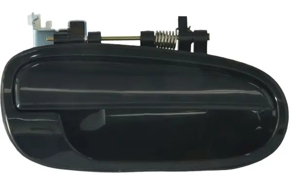 Türaußengriff hinten rechts BLIC 6010-20-023404P