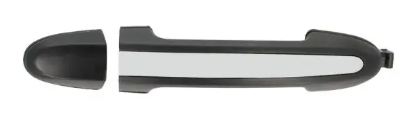 Türaußengriff vorne rechts BLIC 6010-20-032402P