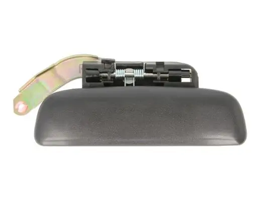 Türaußengriff vorne rechts BLIC 6010-21-013402P