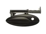 Türaußengriff vorne links BLIC 6010-21-020401P