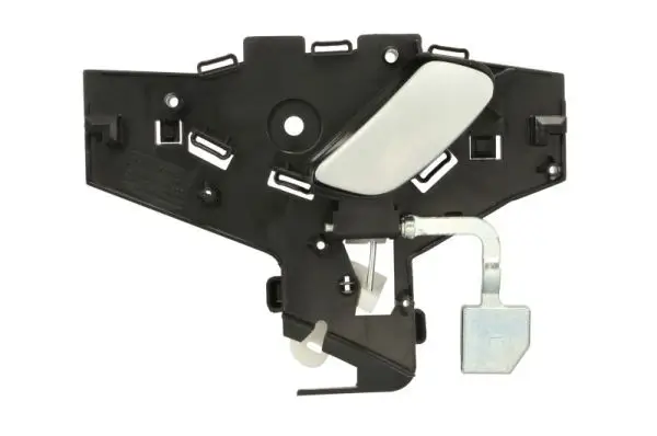 Türgriff, Innenausstattung vorne links BLIC 6010-21-020409P