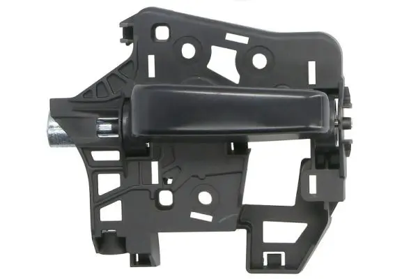 Türgriff, Innenausstattung innen vorne rechts BLIC 6010-21-2194410WP