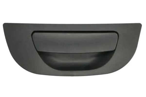 Türaußengriff hinten rechts BLIC 6010-22-011404P