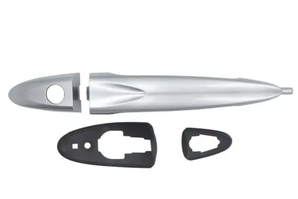 Türaußengriff außen vorne links BLIC 6010-23-012401PP