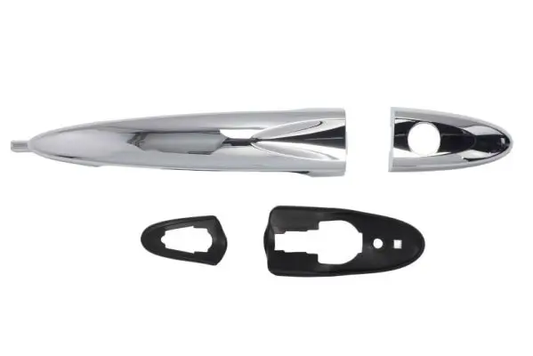 Türaußengriff vorne links BLIC 6010-23-012401P