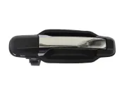 Türaußengriff hinten links BLIC 6010-53-013403PP