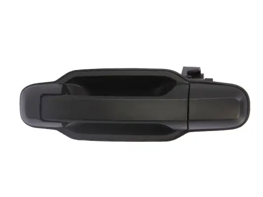 Türaußengriff hinten links BLIC 6010-53-013403P