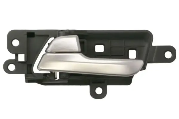 Türgriff, Innenausstattung innen hinten links vorne links BLIC 6010-53-0672409P