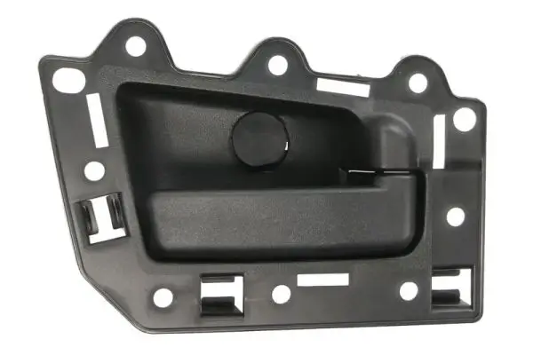 Türgriff, Innenausstattung hinten rechts BLIC 6010-55-008408TP