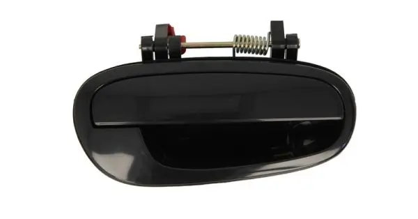 Türaußengriff hinten rechts BLIC 6010-56-002404P