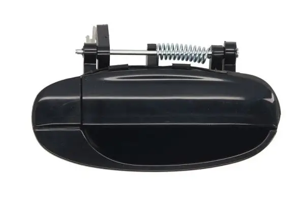 Türaußengriff hinten rechts BLIC 6010-56-005404P