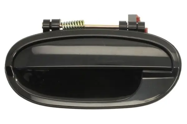 Türaußengriff hinten rechts BLIC 6010-56-007403PP