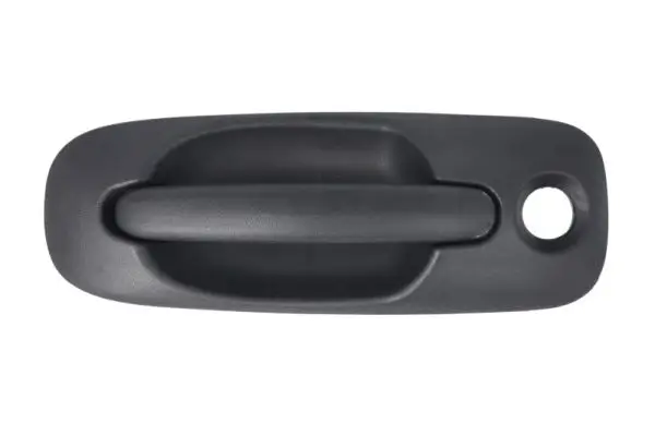 Türaußengriff außen vorne rechts BLIC 6010-58-013410P