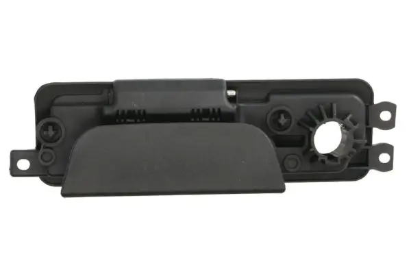 Türaußengriff außen hinten links BLIC 6010-67-004417P