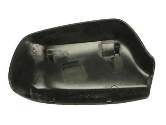 Gehäuse, Außenspiegel links BLIC 6103-01-1311991P