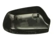 Gehäuse, Außenspiegel links BLIC 6103-01-1311991P