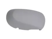 Gehäuse, Außenspiegel rechts BLIC 6103-01-1312179P