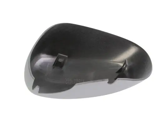 Gehäuse, Außenspiegel rechts BLIC 6103-01-1312179P Bild Gehäuse, Außenspiegel rechts BLIC 6103-01-1312179P