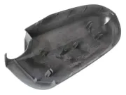 Gehäuse, Außenspiegel links BLIC 6103-01-1321226P