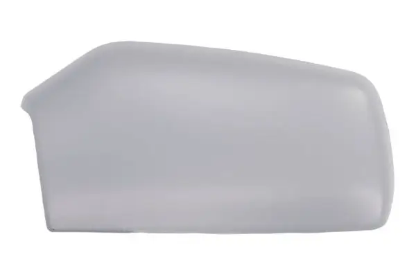 Gehäuse, Außenspiegel links BLIC 6103-01-1321351P