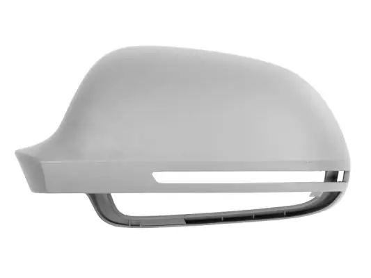 Gehäuse, Außenspiegel links BLIC 6103-01-1321795P