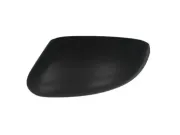 Gehäuse, Außenspiegel links BLIC 6103-01-1323291P