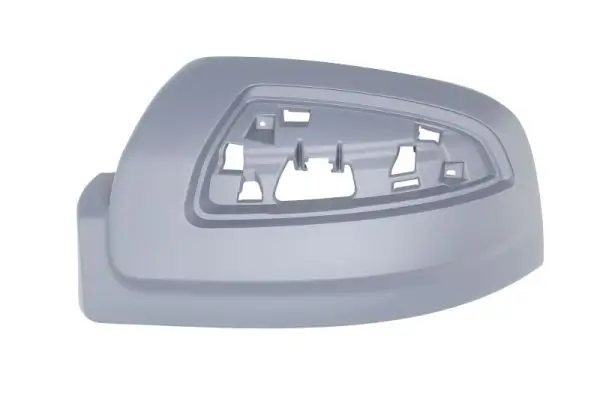 Gehäuse, Außenspiegel links BLIC 6103-02-2001839P