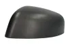 Abdeckung, Außenspiegel links BLIC 6103-03-2402310P Bild Abdeckung, Außenspiegel links BLIC 6103-03-2402310P
