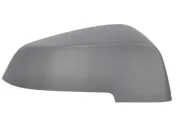 Abdeckung, Außenspiegel rechts BLIC 6103-05-1637311P