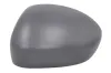 Abdeckung, Außenspiegel links BLIC 6103-07-2590310P Bild Abdeckung, Außenspiegel links BLIC 6103-07-2590310P