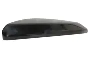 Abdeckung, Außenspiegel links BLIC 6103-12-0475310P