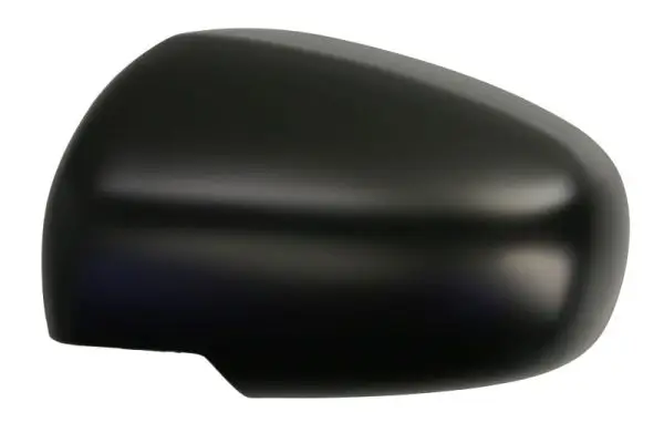 Abdeckung, Außenspiegel links BLIC 6103-18-1384312P