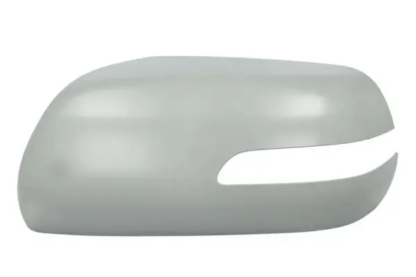 Gehäuse, Außenspiegel links BLIC 6103-18-2002419P