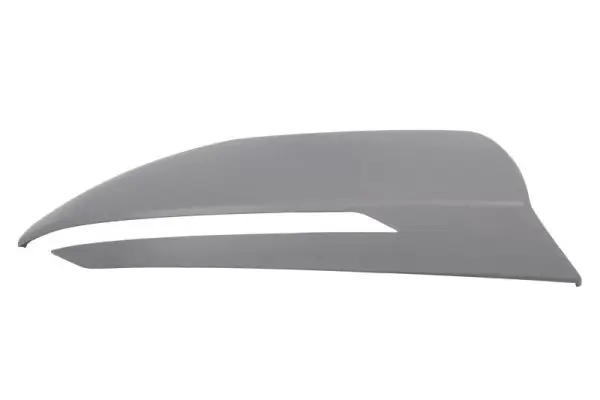 Abdeckung, Außenspiegel rechts BLIC 6103-20-2410311P