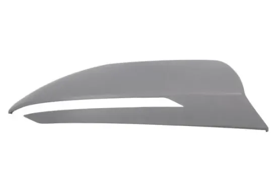 Abdeckung, Außenspiegel rechts BLIC 6103-20-2410311P Bild Abdeckung, Außenspiegel rechts BLIC 6103-20-2410311P