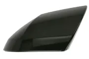 Abdeckung, Außenspiegel links BLIC 6103-20-2737310P