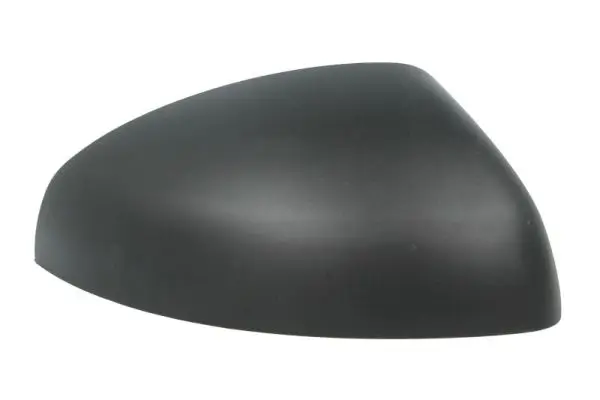 Gehäuse, Außenspiegel links BLIC 6103-25-044351P