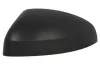 Abdeckung, Außenspiegel links BLIC 6103-25-1629310P Bild Abdeckung, Außenspiegel links BLIC 6103-25-1629310P